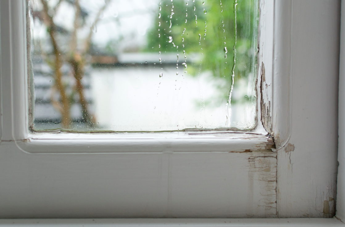 Beyond Flooding: What to do About “Minor” Water Damage