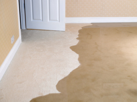 Can you Save a Flood Damaged Carpet or Rug?