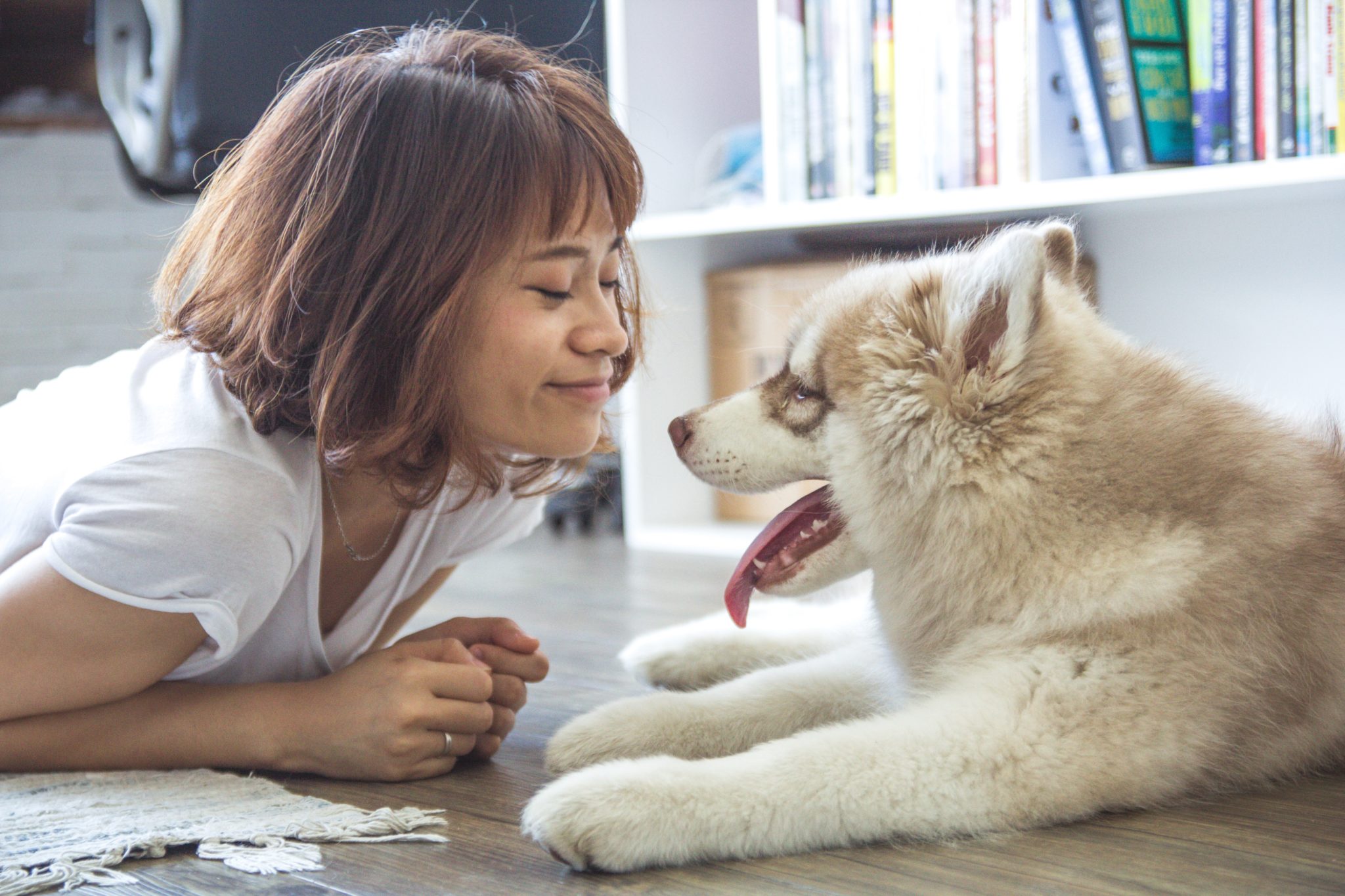 How to Deal With Asthma When Living With Pets